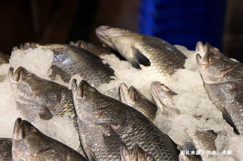 巴布亞新幾內(nèi)亞到廣州鱸魚(yú)進(jìn)口報(bào)關(guān)流程冷凍魚(yú)案例