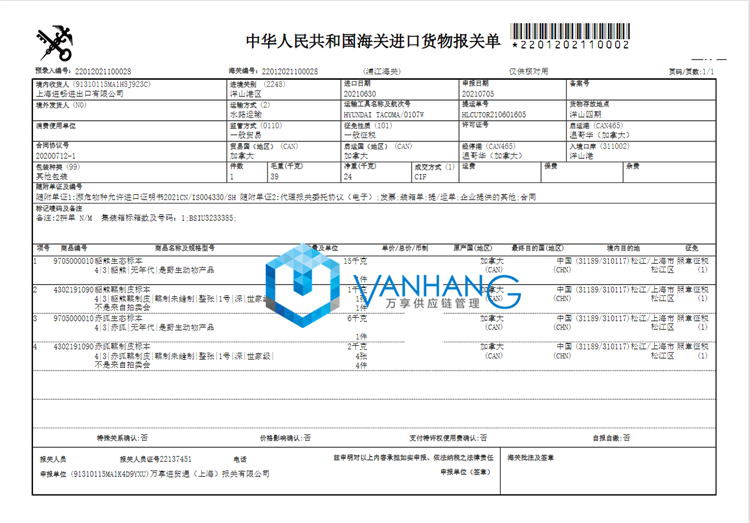 進口加拿大赤狐生態(tài)標本報關