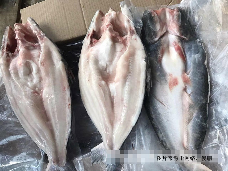 越南冷凍巴沙魚進口報關(guān)資料